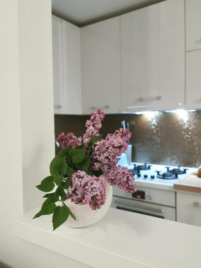 Kenzo Apartment Senj  Buitenkant foto